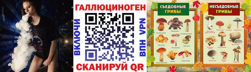 Купить закладки  Зеленодольск  Псилоцибиновые грибы мицелий 